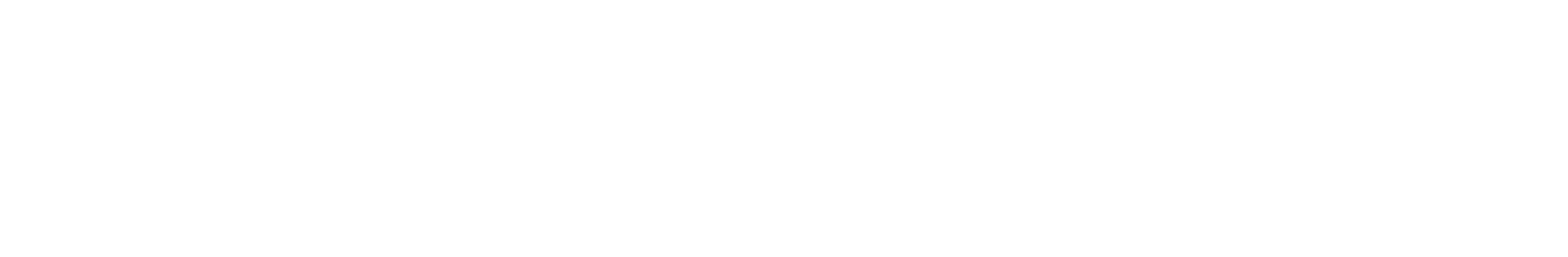 BBS_Logo-blanco-transparencia